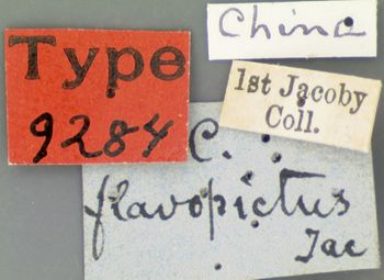Media type: image; Entomology 9284   Aspect: labels
